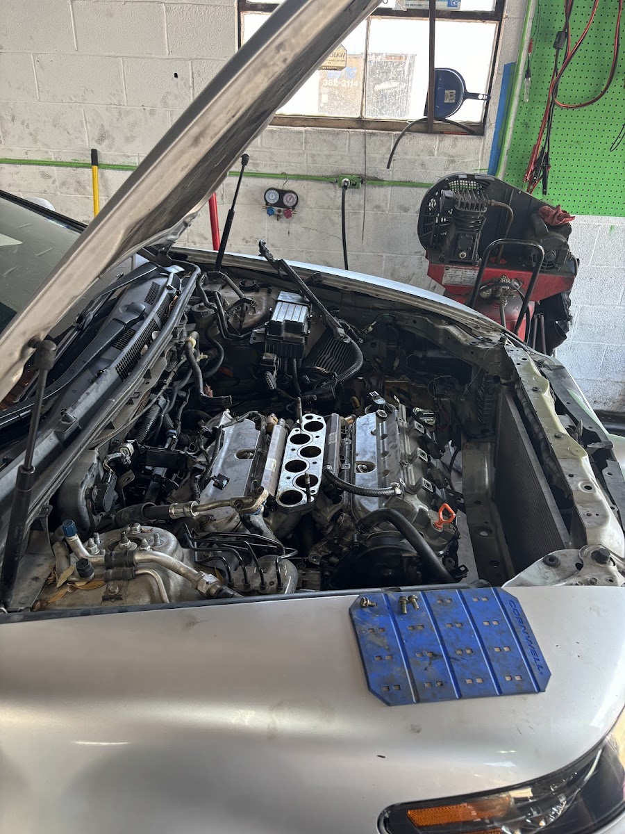 Oil Changes & Fluids